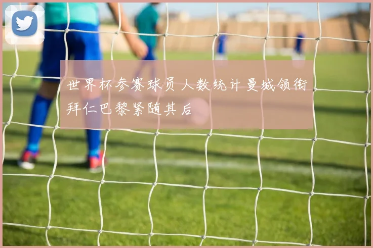 世界杯参赛球员人数统计曼城领衔拜仁巴黎紧随其后